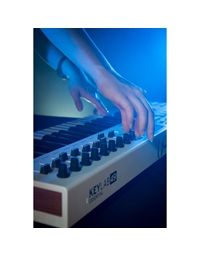ARTURIA Keylab 49 Essential USB Midi Keyboard
