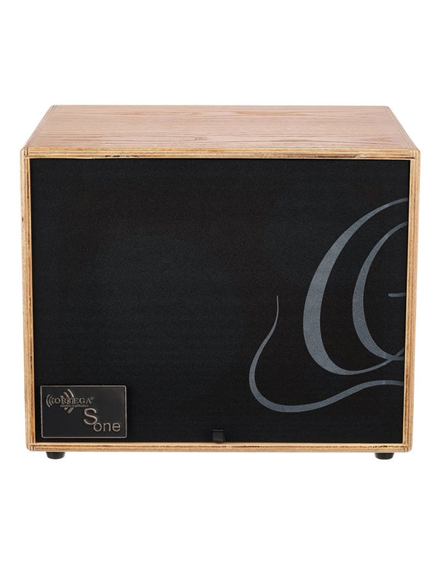 ORTEGA S ONE Acoustic Instrument Speaker Cabinet (Ex-Demo product)