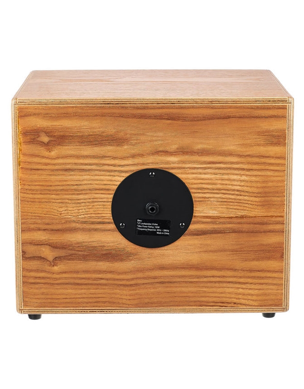 ORTEGA S TWO  Acoustic Instrument Speaker Cabinet (Ex-Demo product)