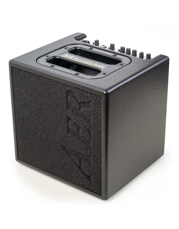 AER Alpha Black Acoustic Instruments Amplifier 40 Watt