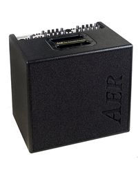 AER Domino 2A Black Acoustic Instruments Amplifier 2 x 60 Watt