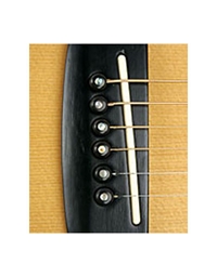 D'Addario - Planet Waves Black End Pins for acoustic guitar PWPS 10