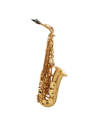 SELMER Series III Brushed Gold Lacquer Engraved  Alto Saxohone 