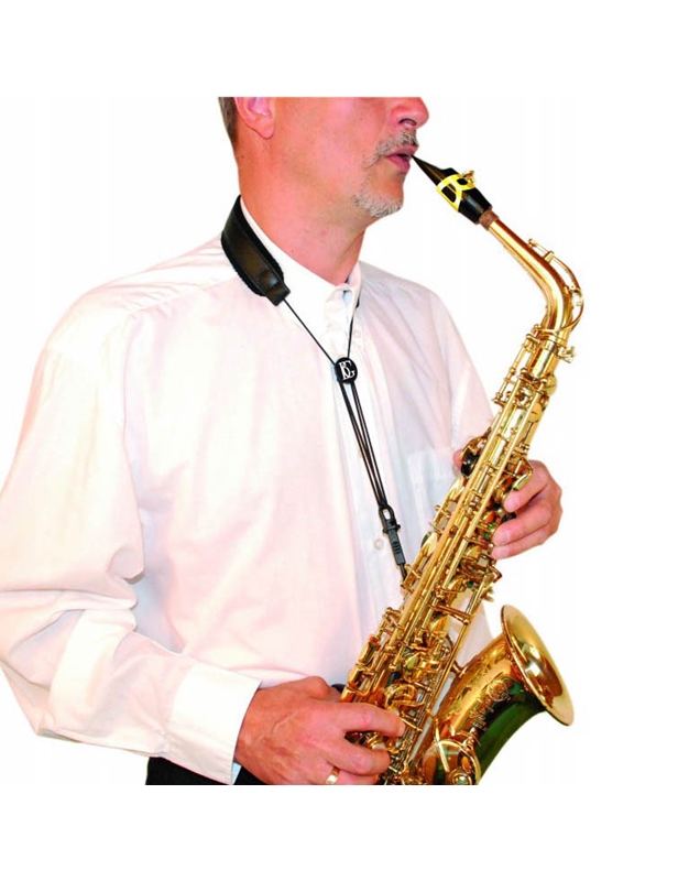 BG S20SH Saxophone strap Snaphook