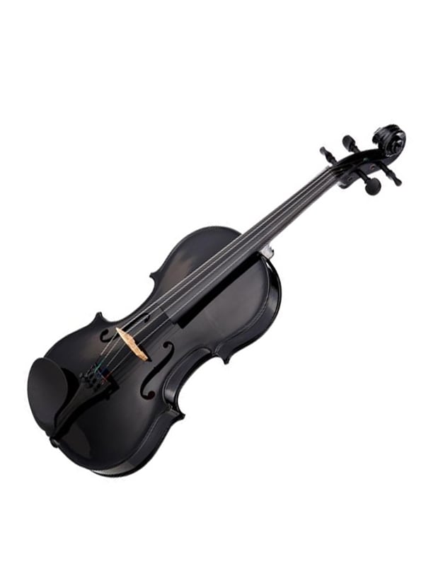 STAGG VN-4/4 Violin Soft-case and Bow In Black Colour