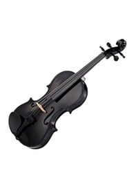 STAGG VN-4/4 Violin Soft-case and Bow In Black Colour
