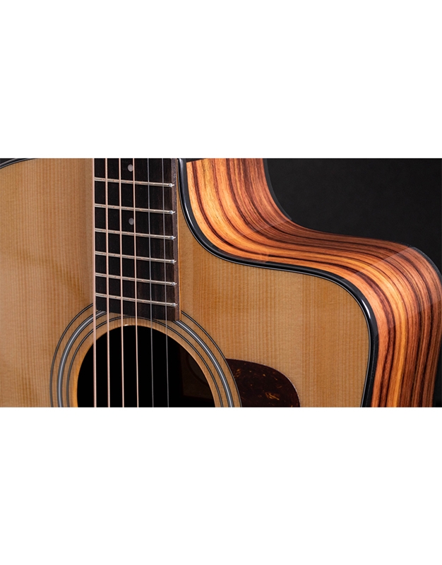 TAYLOR 210ce Electroacoustic Guitar Natural