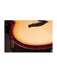 TAYLOR 818e Antique Blonde Electric Acoustic Guitar