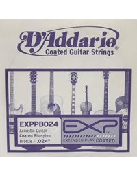 D'Addario EXPPB024 Acoustic Guitar 