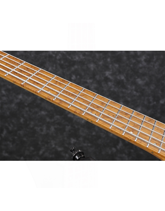 IBANEZ EHB1005MS-BKF Black Flat Electric Bass