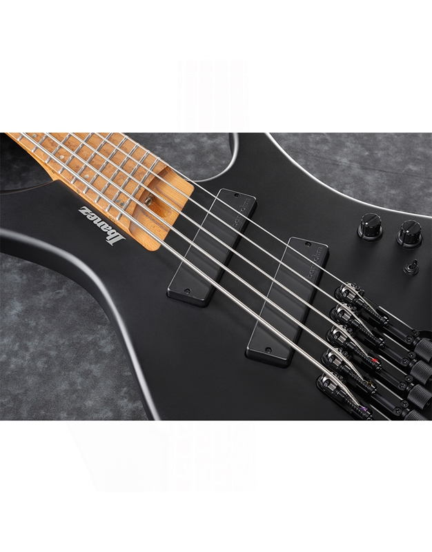 IBANEZ EHB1005MS-BKF Black Flat Electric Bass