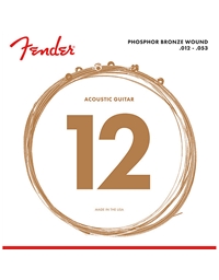 FENDER 60L   Acoustic Guitar Strings  (12-53)