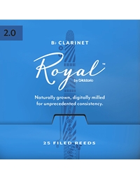 D'Addario Woodwinds Royal Clarinet Reed No. 2  (1 piece)