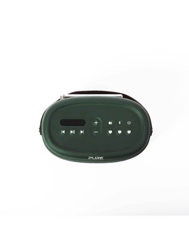 PURE WOODLAND Portable Radio with Bluetooth (EISA2023)