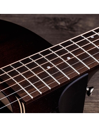 TAYLOR AD24ce SEB Electric Acoustic Guitar